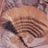 An aerial view of a large open-pit mine featuring concentric terraces carved into the earth, surrounded by barren, dusty terrain. There is heavy machinery at the bottom of the pit indicating active mining operations. The landscape is expansive and marked by shades of brown and pink.